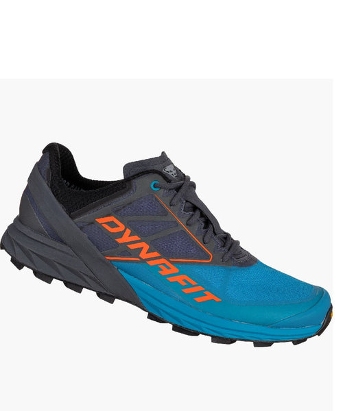 MEN'S ALPINE RUNNING SHOE - MAGNET/FROST
