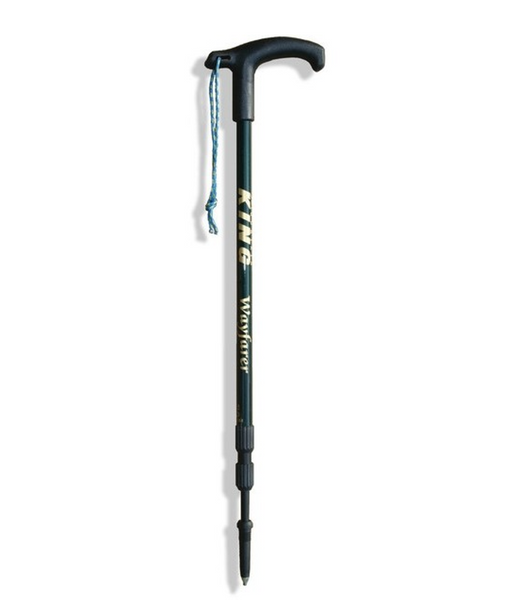 WAYFARER WALKING POLE