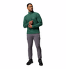 FAST TREK™ III HALF ZIP FLEECE MEN'S - RAIN FOREST