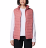 WOMEN'S POWDER LITE II VEST - PINK AGAVE