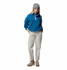 HELVETIA II CROPPED HALF SNAP FLEECE WOMEN'S - PHOENIX BLUE, RAINY DAY