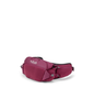 PROTIUM 6L BELTPACK - MULBERRY