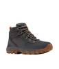 NEWTON RIDGE PLUS II SUEDE WP MEN'S - DARK GREY, GOLD AMBER