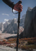 CARBON FIBRE TREKKING POLES
