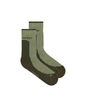 HIKE+ MEDIUM CREW SOCK WOMEN'S - LICHEN/DARK LODEN