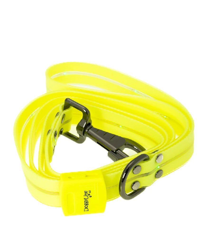 DOGGYLITE V2 LEASH