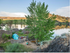 HABITUDE 4 FAMILY & GROUP CAMPING TENT - GLACIAL BLUE