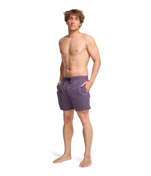 ALL DAY LAY BACK MEN'S SWIM SHORTS - DUSTY GRAPE
