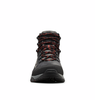 MEN'S 100MW MID OUTDRY BOOT