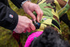 DRYROBE DOG ROBE