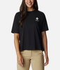 WOMEN'S NORTH CASCADES RELAXED TEE